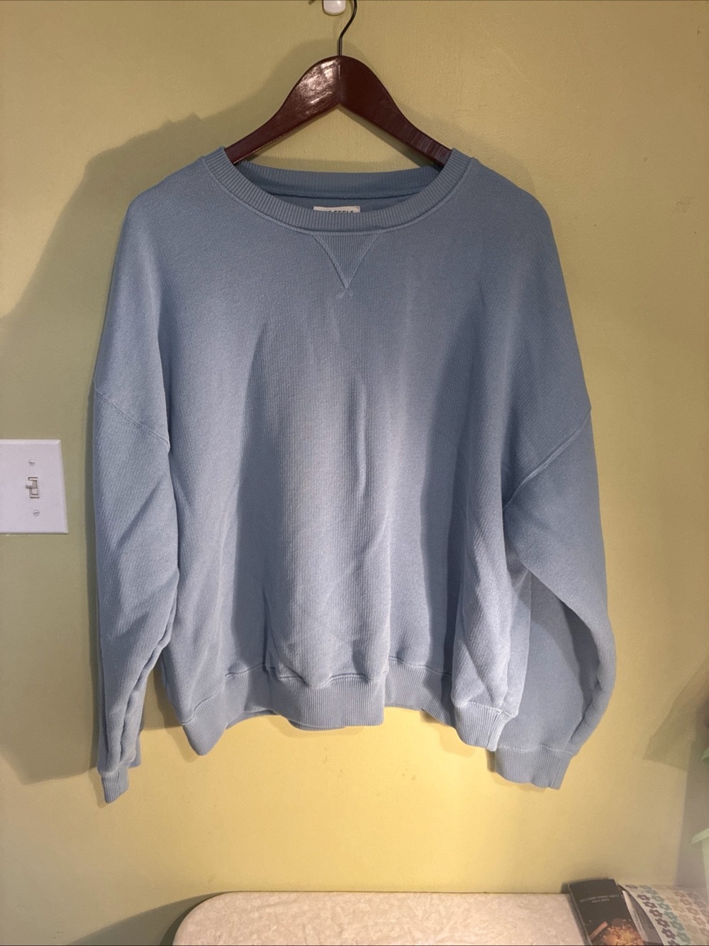 American Eagle Outfitters Pale Blue Crewneck Sweatshirt